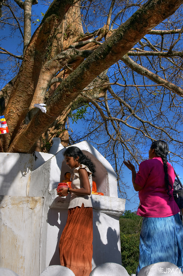 motlitby u stromu Bo - Kandy