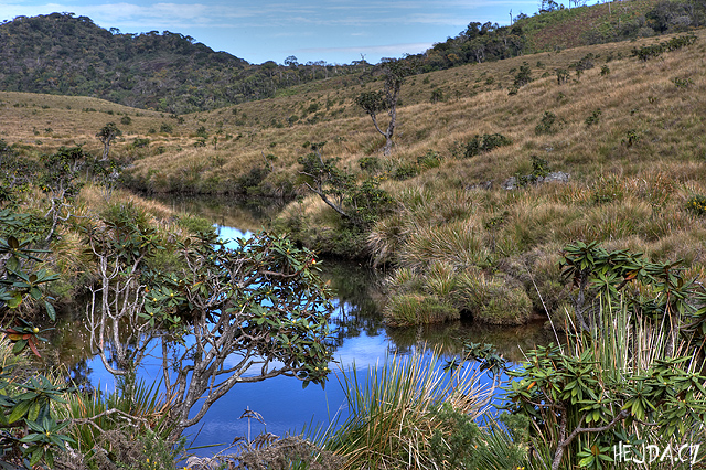 Horton Plains